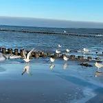 Ostseebuhne Graal-mueritz Gelbensande