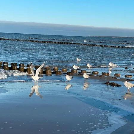 Ostseebuhne Graal-mueritz *