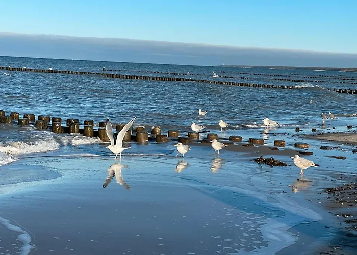 Ostseebuhne Graal-mueritz Gelbensande